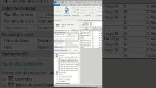 🔴Reutilización Inteligente Copiar Tablas de Planificación en Proyectos de Revit🔴 [upl. by Eitak]