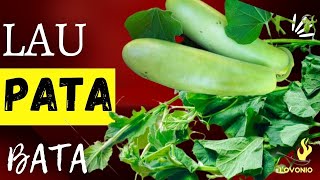 Lau Pata Bata RecipeTasty Gourd Leaf Recipeগ্রাম্য পদ্ধতিতে বানানো সুস্বাদু লাউ পাতা বাটাVorta [upl. by Howarth]