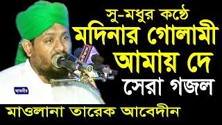 মদিনার গোলামী আমায় দে  Mawlana Tareq Abedin  Beautiful Naat  Islami Gojol  2018 [upl. by Xymenes]