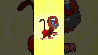 Baboon Kids Song  Hooray Kids Songs shorts hooraykidssongs nurseryrhymes monkey [upl. by Chari398]