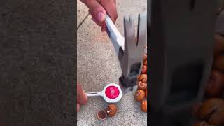 Portable chestnut hole opening tool Good tools and machinery can increase work efficiency [upl. by Dej]