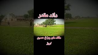 Dandمقدر Ownerاسوار چراغ حسین اروڑ unfrezzmyaccount shonkpunjabde shonkipunjab 1kviews [upl. by Lasala]