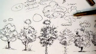 Pen amp Ink Drawing Tutorials  How to draw trees [upl. by Rivkah]