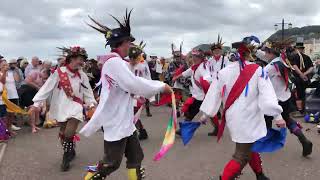 Sidmouth Folk Festival Eynsham Morris Esplanade 4824 [upl. by Adelbert]