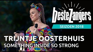 Trijntje Oosterhuis  Something inside so strong  Beste Zangers 2018 [upl. by Eyaj523]