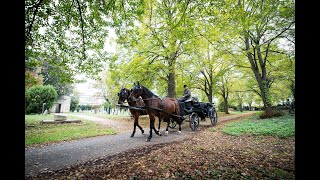 Zentralfriedhof Wien Fiaker Rundfahrt [upl. by Marcille274]