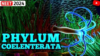 NonChordates PHYLUM COELENTERATA  Animal Kingdom  3D ANIMATION [upl. by Sigler]