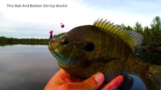 How I Catch TONS Of BIG Bluegills With Bobbers And Plastic Lures… And You Can To [upl. by Acile]