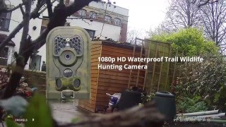 1080p HD Waterproof Wildlife Trail Camera Sample Footage [upl. by Amadeo863]