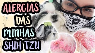 VLOG CONSULTA COM DERMATOLOGISTA VETERINÁRIO EXAMES E TRATAMENTO P DERMATITE CANINA  LÓI CÚRCIO [upl. by Elletnuahc839]