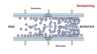 POREX® TMF  Cross flow filtration process [upl. by Nagiam]