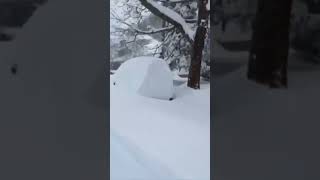 Snowmageddon in PA 🤯 [upl. by Hamirak]