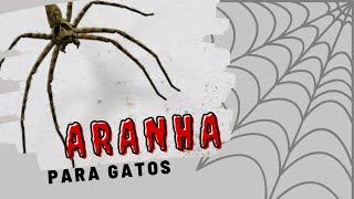 JOGOS PARA GATOS  ARANHA  SPIDER [upl. by Anneyehc]