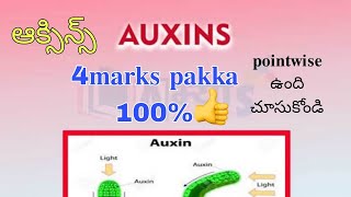 Auxinsఆక్సిన్స్  Important question inter Bipc plant Growth reguletars [upl. by Ainotal552]