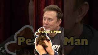 Elon Defending Pets and Freedom [upl. by Egres250]