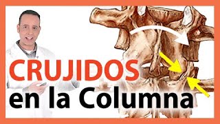 🛑CHASQUIDOS en la Columna  🤔 Qué son PORQUÉ SE PRODUCEN los crujidos Yoga Terapéutico  CURIOSO [upl. by Howell881]