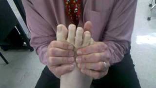 Distal Metatarsal Joint Mobilization [upl. by Egiarc]