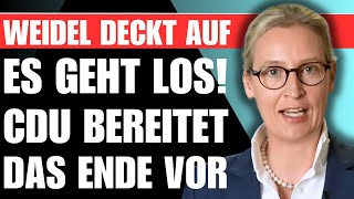 Weidels DÜSTERE WARNUNG 🚨 quotBald ist es zu spätquot Die CDU bereitet gerade DAS ENDE vor [upl. by Nnyleuqcaj527]