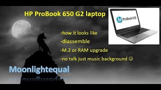 HP ProBook 650 G2  disassemble for M2 and RAM upgrade or battery replacement [upl. by Payson]