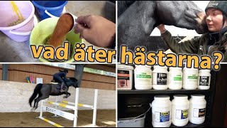 STALLVLOGG  VISAR VAD HÄSTARNA ÄTER [upl. by Robinette]