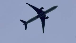 Evening Arrivals at SeaTac 10262024 [upl. by Akcinat]