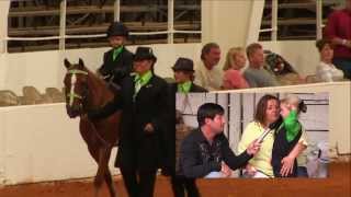 Raegan Clopp and Real Men Wear Pink 2013 Racking Horse World Celebration [upl. by Leimad493]