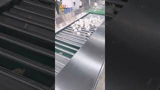 Garlic Grading Sorting Machinemachine [upl. by Assylem]