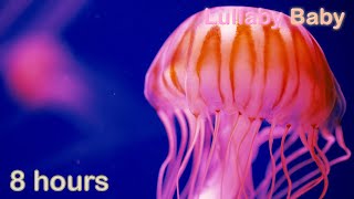 ☆ 8 HOURS ☆ Relaxing JELLYFISH ☆ UNDERWATER Sounds with MUSIC ♫ Relaxing Sleep Music Stress Relief [upl. by Elda724]