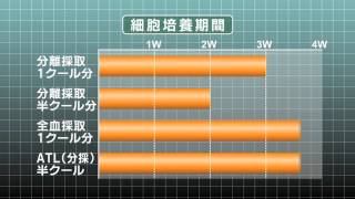 がん免疫治療  ANK免疫細胞治療  について  みたかヘルスケアクリニック [upl. by Romy]