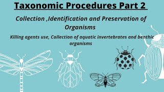 Taxonomic Procedures Part 2 Collection Identification and Preservation of organisms with notes [upl. by Aibat]