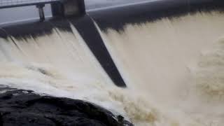 Wappa falls Kiamba Falls and Cooloolabin Dam in Heavy Rains [upl. by Dewitt]