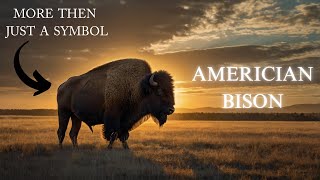 The Untold Story of the American Bison More Than Just a Symbol [upl. by Darby]