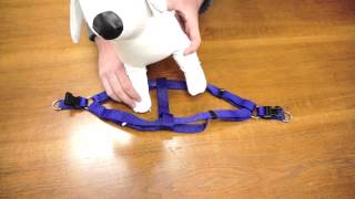 PetChampion  Step in Harness How To [upl. by Fishbein]