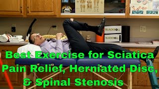 Best Exercise For Sciatic Pain Relief Herniated Disc amp Spinal Stenosis [upl. by Hall701]