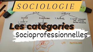 SOCIOLOGIE  LES CATÉGORIES SOCIOPROFESSIONNELLES [upl. by Jacquenette]