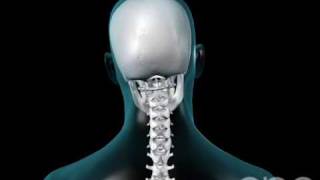 Neck Movement  3D Medical Animation  ABP © [upl. by Silyhp]