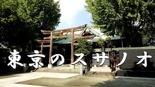 【初詣】東京のスサノオ （東京の神社） Japan Tokyo shrine [upl. by Binah]