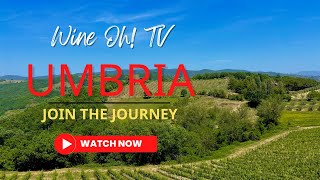 Uncovering Umbria Italys Undiscovered Wine Region [upl. by Nnylarej]