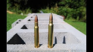 3006 vs 300 win mag  Cinder Block Test [upl. by Northey]