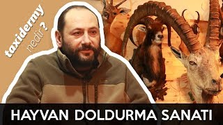 Hayvan Doldurma amp Dondurma Sanatı  Taxidermy Taxidermist Nedir [upl. by Teirrah258]