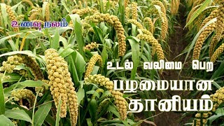 Foxtail Millet0 Thinai  Thinai Rice  Thinai Rice  Foxtail Millet Tamil  திணை [upl. by Airbmat]