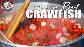 Boiling the Best Crawfish At Home [upl. by Demahum]