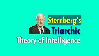 Sternbergs Triarchic theory of intelligence  Theories of Intelligence  tsineng [upl. by Faustina]