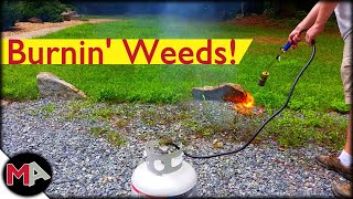 Burning Weeds with a Propane Torch [upl. by Moncear832]