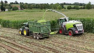 Maisernte in der Eifel 2024  Fendt  New Holland  Claas Power [upl. by Ollie]