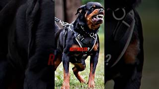 Bas Rutten vs Police Dog [upl. by Dranek]