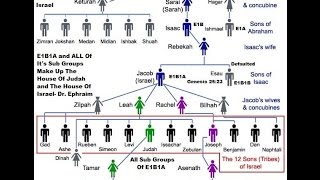 Genetics YDNA Haplotype of E1B1A [upl. by Nojed373]