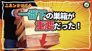 分蜂群が入りやすい【ニホンミツバチにとって住みやすい巣箱とは？】経験を元に考えてみた 日本みつばちの養蜂 How to Beekeeping [upl. by Zosema]