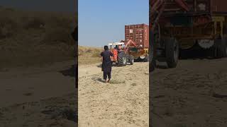 Container got slipped in dessert  Rhodes Grass Hay Export  Agriculture Farming Pakistan [upl. by Aidas290]