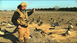 Perfect Goose Decoy Spread Wayne Radcliff Waterfowl Guide [upl. by Lerat]